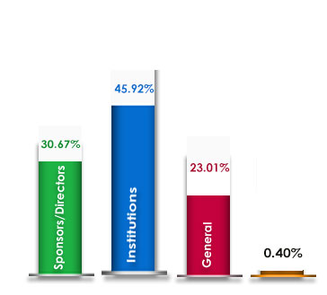 Share holding position Graph